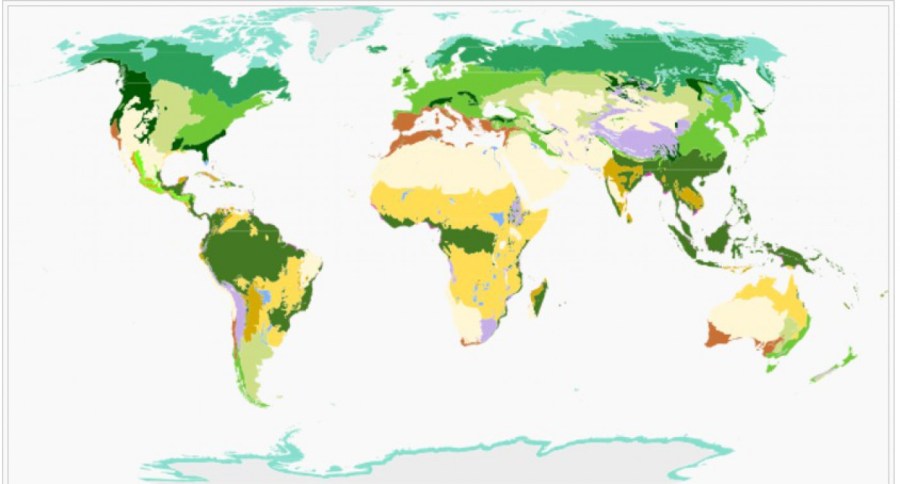 cropped-geo14biomes.jpg