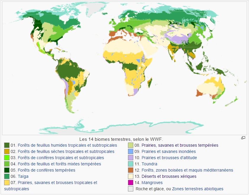 Geo14Biomes
