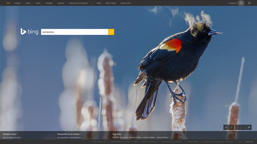 2016.01.26 numerama-bing