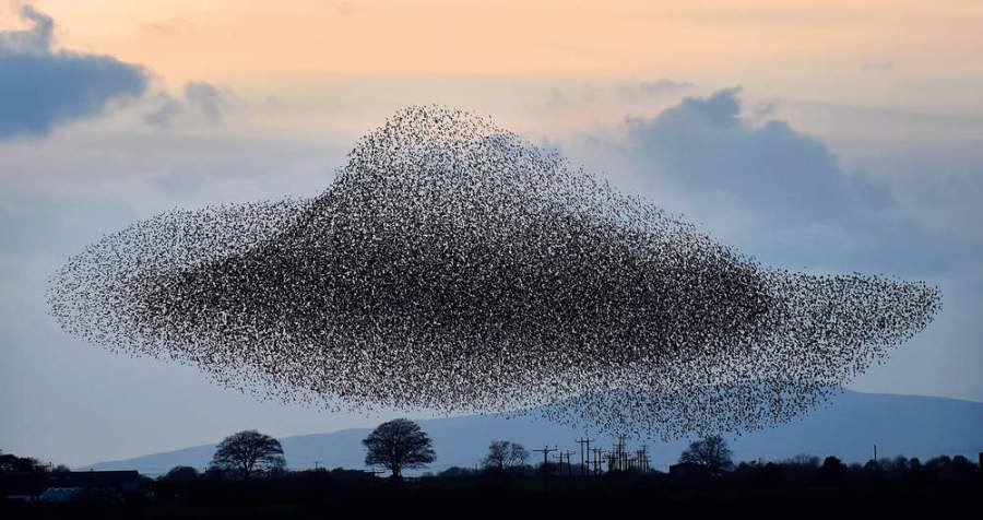 region-de-rigg-ecosse-geant-volant-dans-un-ciel-d-automne