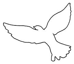 2016.03.02 dessin colombe images