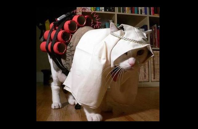 2016.08.10 chat radical ! abu2