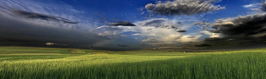 2016-09-18-agriculture-russe-russie-agric-moscou049