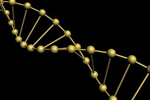 2016-11-04-empreinte-adn-4cea4c7a-caae-11e1-9eb0-32772d0b9ac1-493x328