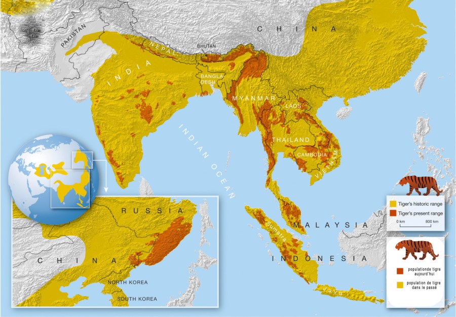 tigermap-03-02-final