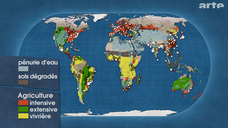 2017.04.09 2081203.jpg