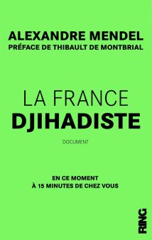 2017.05.05 LIVRE FRANCE GAME OVER 71GmO6d59pL