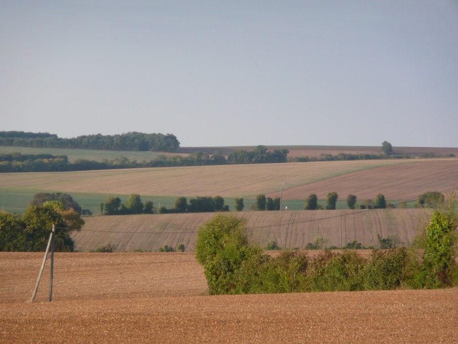 131 paysage D120 vers Benâtes 02.10.10-18h58