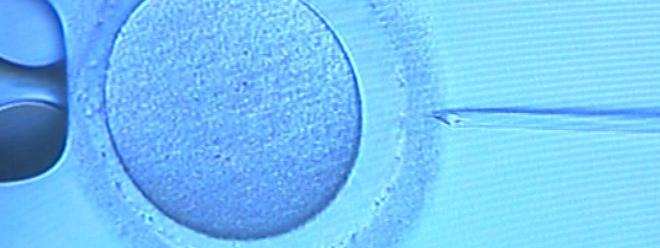 2017.09.19 PMA 13277001