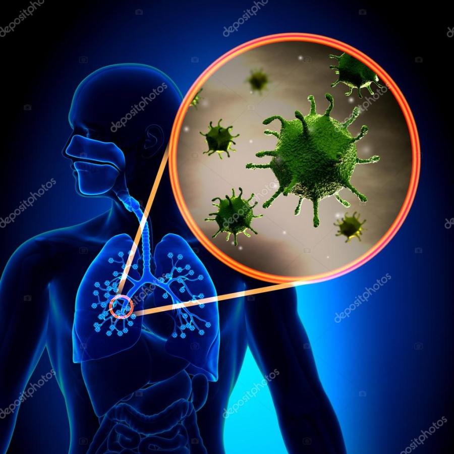 virus grippe depositphotos_48100309-stock-photo-flu-cold-virus-in-detail