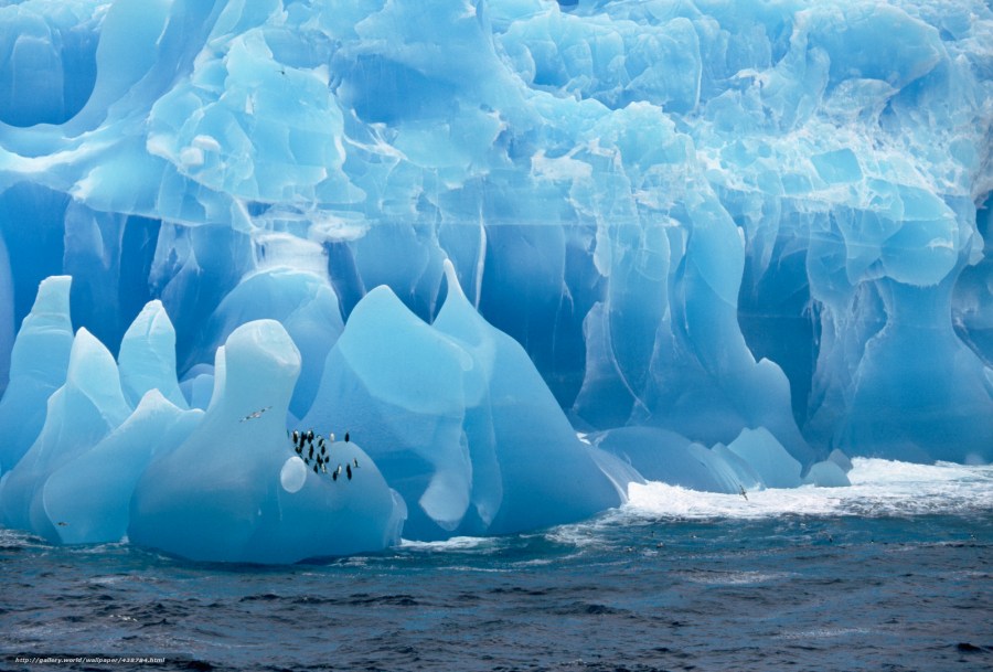 Icebergs in the Weddell Sea