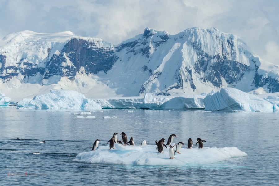 ANTARCTIQUE PAYSAGES No-2493