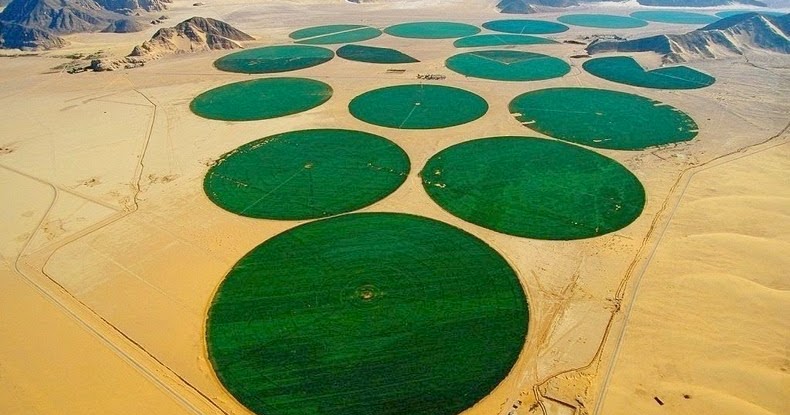 L_agriculture dans le désert 35687_1286446572251_4897985_n