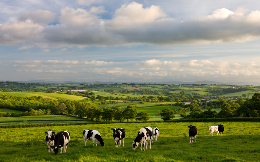 AGRICULTURE britain-farming_3207686k