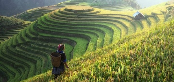 agriculture-china-720x340
