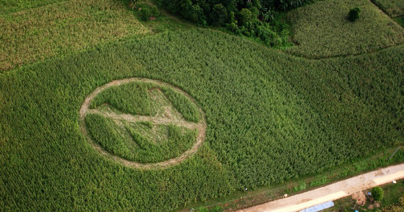 HONGRIE ANTI OGM ob_66a9fb_ogm-monsanto-hongrie3