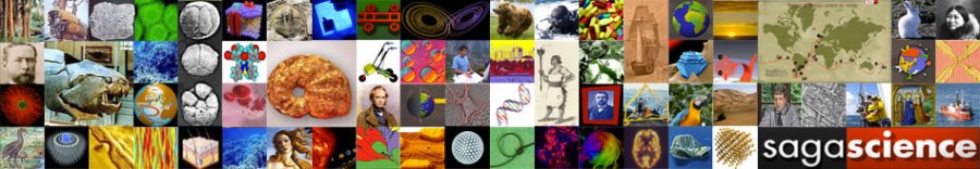 bandeau_saga
