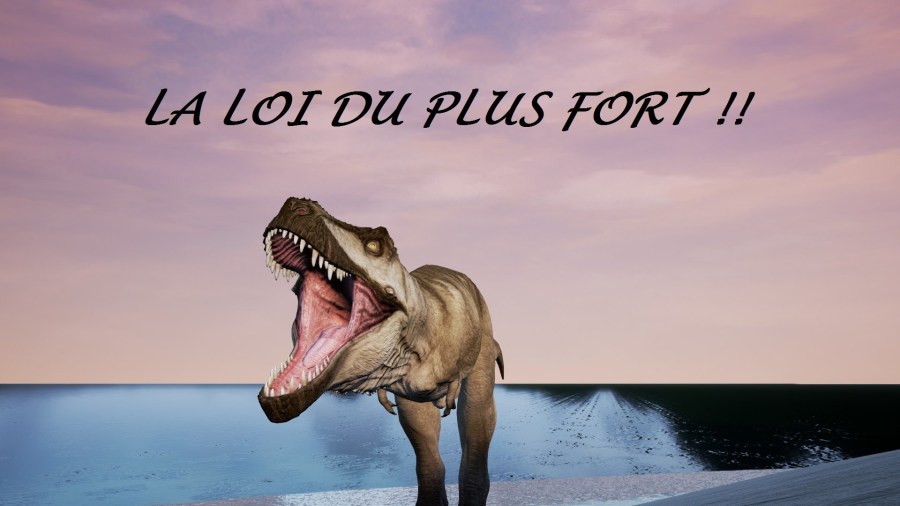 LA LOI DU PLUS FORT maxresdefault