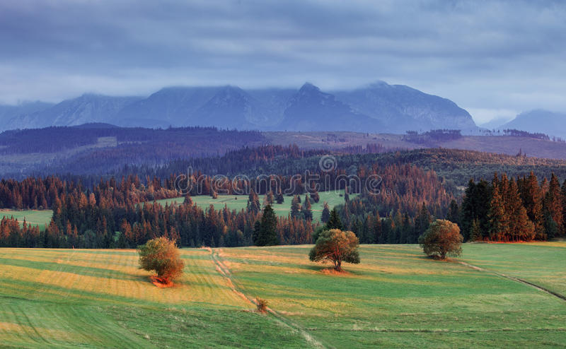 SLOVAQUIE paysage-dans-pieniny-slovaquie-61744195
