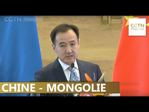 MONGOLIE Ministre mongol des Affaires étrangères Damdin Tsogtbaatar hqdefault