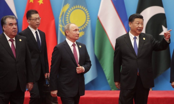 OCS ocse 23286447-25627120