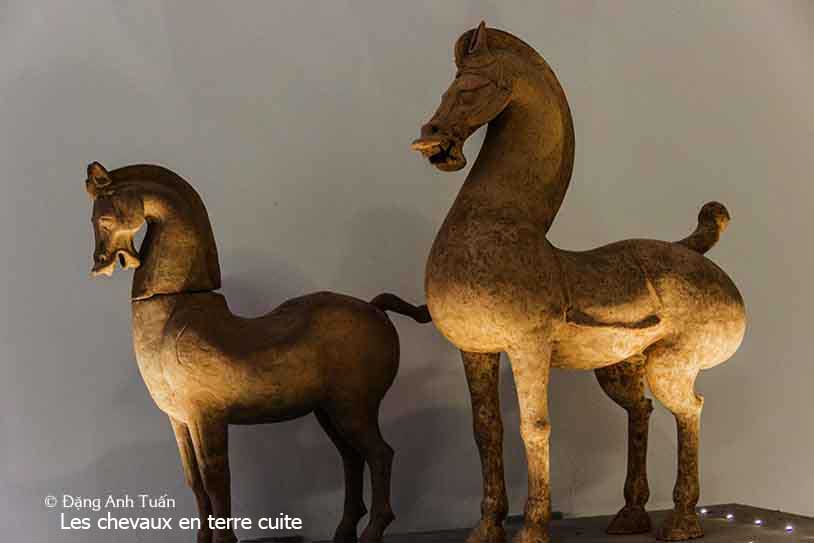 chine 58 avant JC IMG_4910