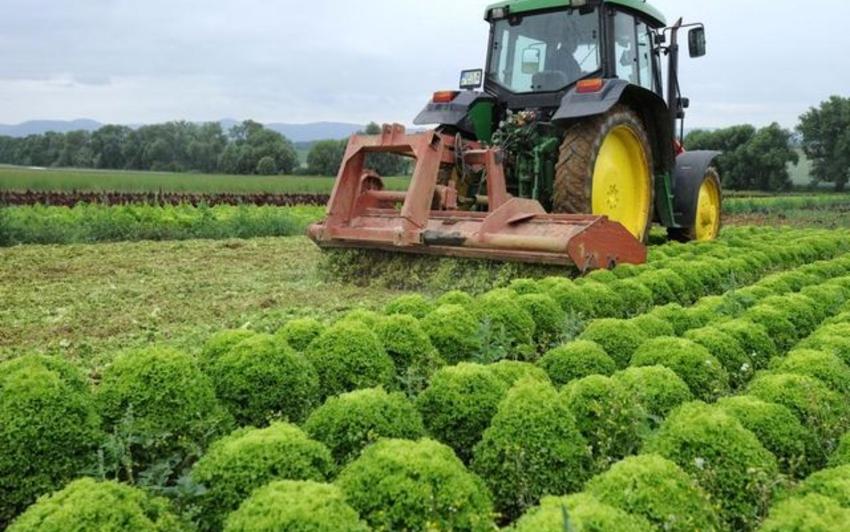 suisse agricole agricutlruee_suisse