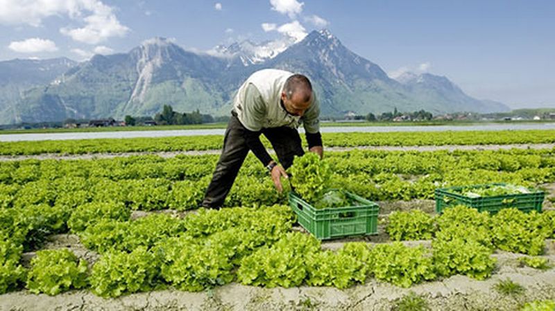 suisse agricole1021619.image