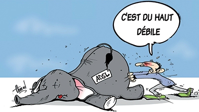 INTERNET 101726208_o