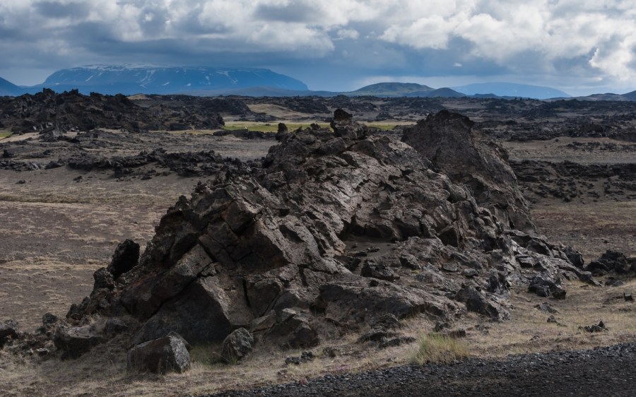 SYRIE sur la région du plateau volcanique de Sâfa b-IMG_136ee45980bb