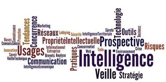 intelligence économique. 6a00d834529bc369e201bb08ae1b33970d-800wi