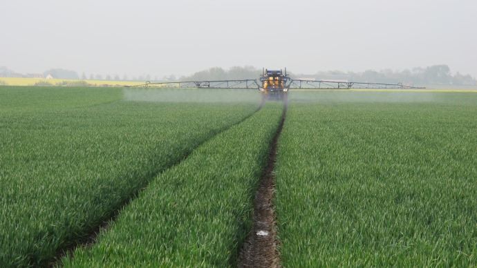 agriculture fiches_T1_fongi_bth_dbt_mai_2012_21