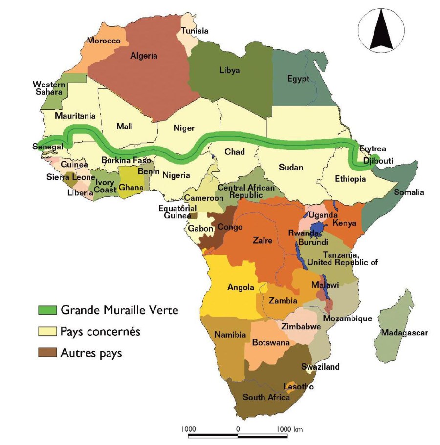 AFRIQUE la Grande muraille verte img-2