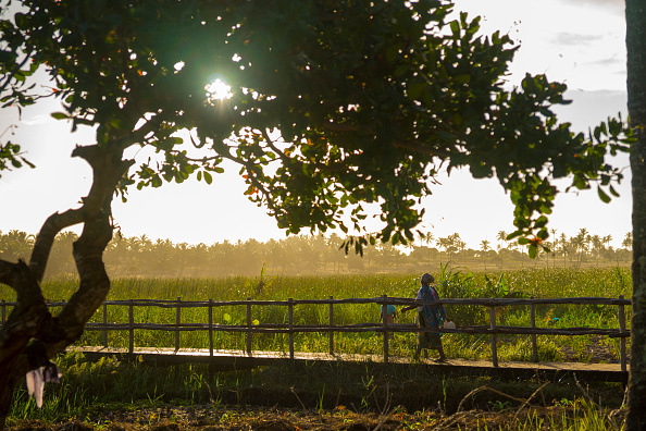 Wooden Bridge In The Country, Inhambane, Mozambique