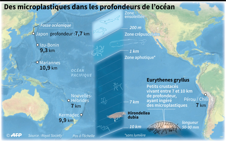 POLLUTION PLASTIQUE microplastiques-profondeurs-ocean_2_729_455