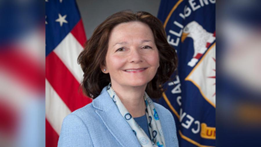 USA Chemical Gina gina-haspel