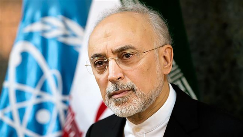 IRAN Head of the Atomic Energy Organization of Iran Ali Akbar Salehi 4bpo2bbae94e9613lrf_800C450