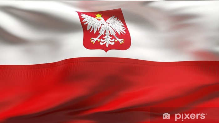 Creased Polish satin flag in wind with seams and wrinkles