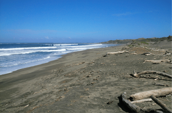 plage de sable noir file-20190819-123736-2lj1pv