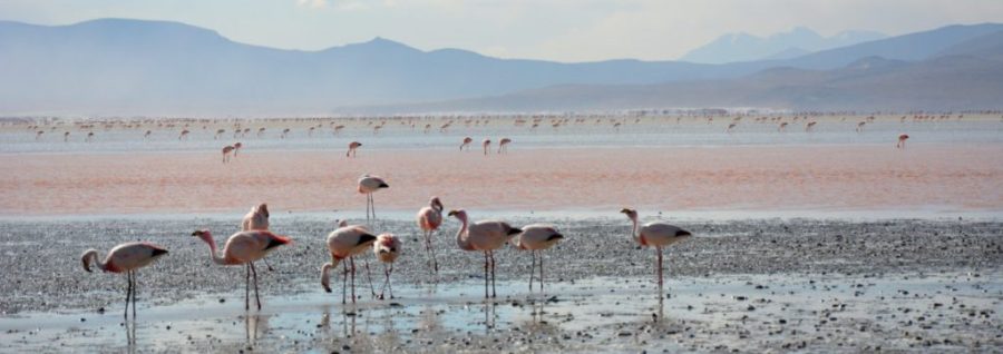Bolivie_20000_lieux_sur_la_terre