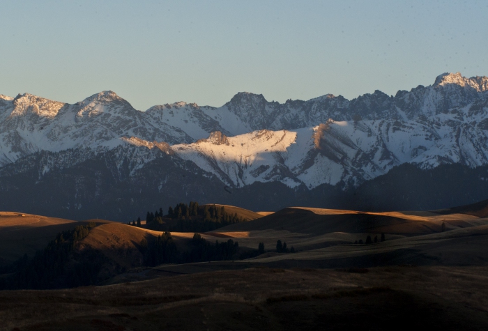 CHINE XINJIANG e86c39e16cea695f800b571494b7d8c3