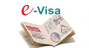 visa électronique images