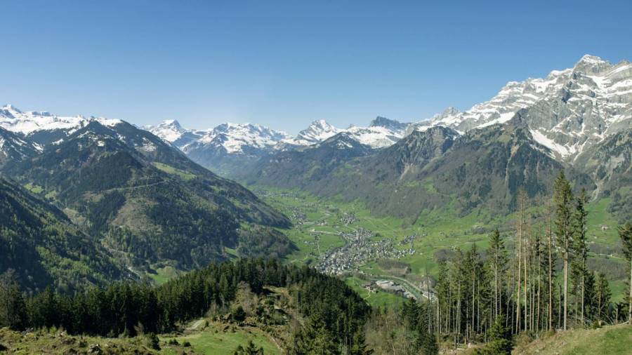 helvetia-schutzwald-glarus