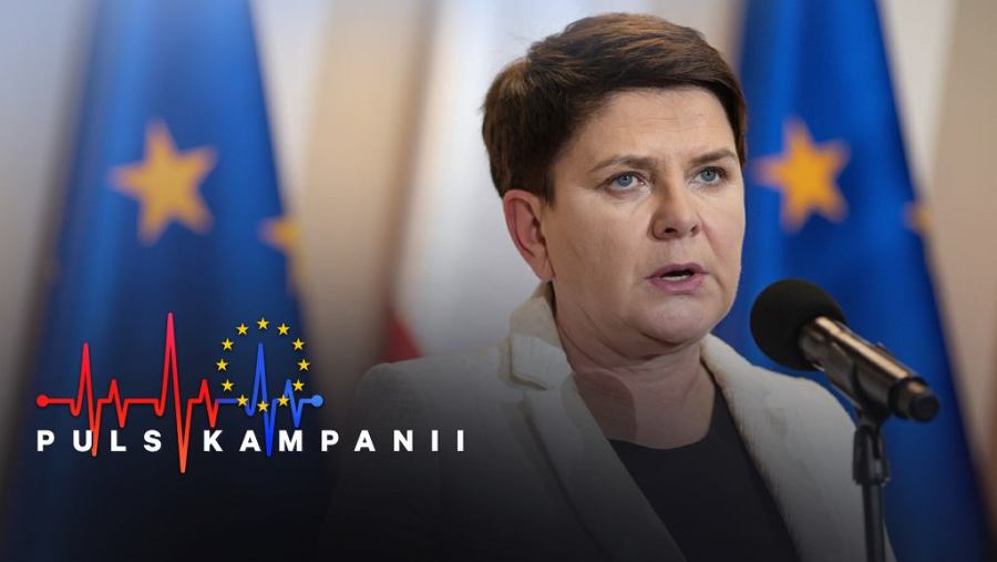 z24810452IH,Wybory-do-Parlamentu-Europejskiego-2019--Kandydatk