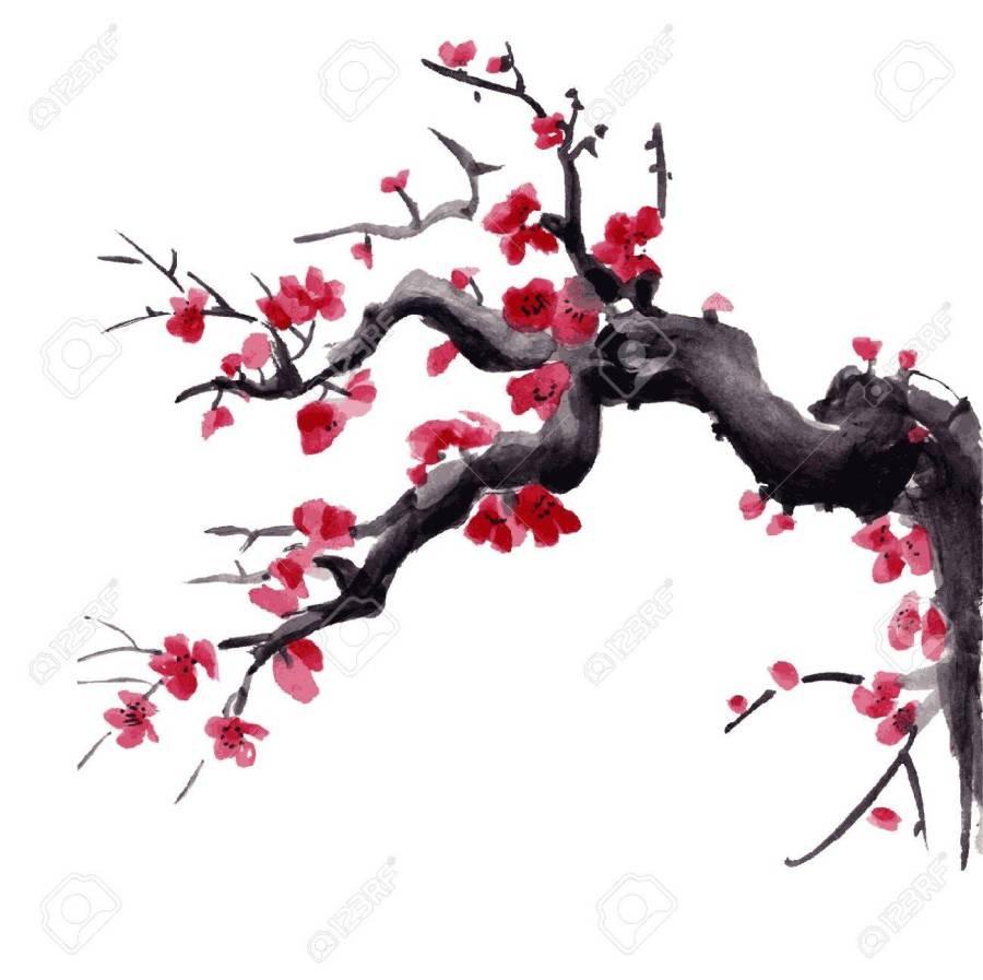 83597085-fleur-de-sakura-réaliste-cerisier-japonais-isolé-sur-fond-rose-illustration-vectorielle-