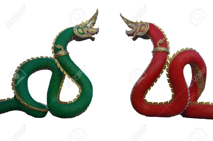 CHINE 16406134-rouge-et-vert-de-dragon-conception-qui-a-la-puissance-et-la-beauté-d-un-technicien-qualifié-selon-les