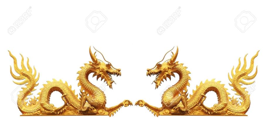 CHINE10384329-dragon-d-or-sur-fond-blanc