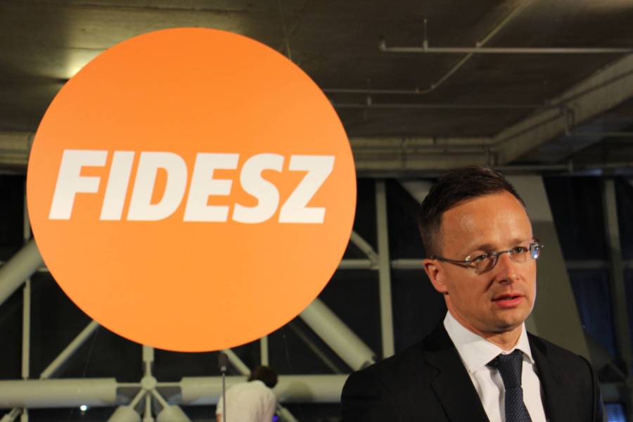 fidez IMG_3482-scaled