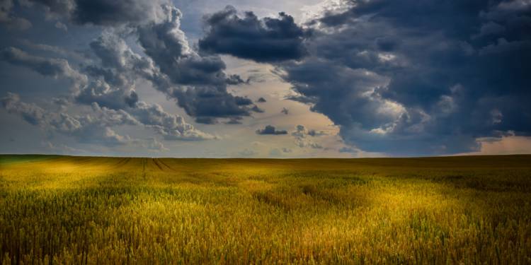 climat-les-greniers-a-ble-de-la-planete-menaces-gare-a-la-flambee-des-prix-1357338