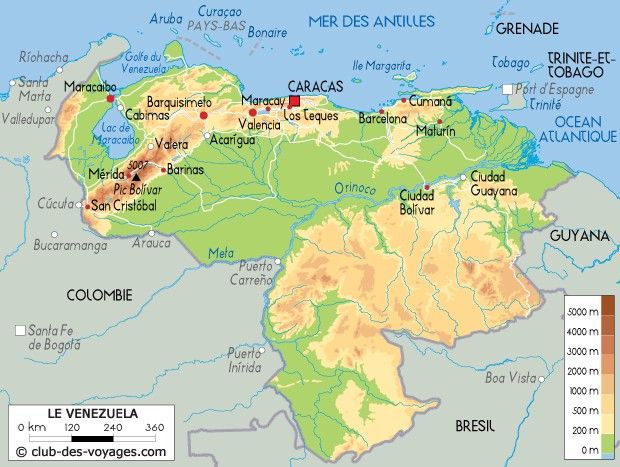 b1e2fef352a91b535a1e44d9407c3a36